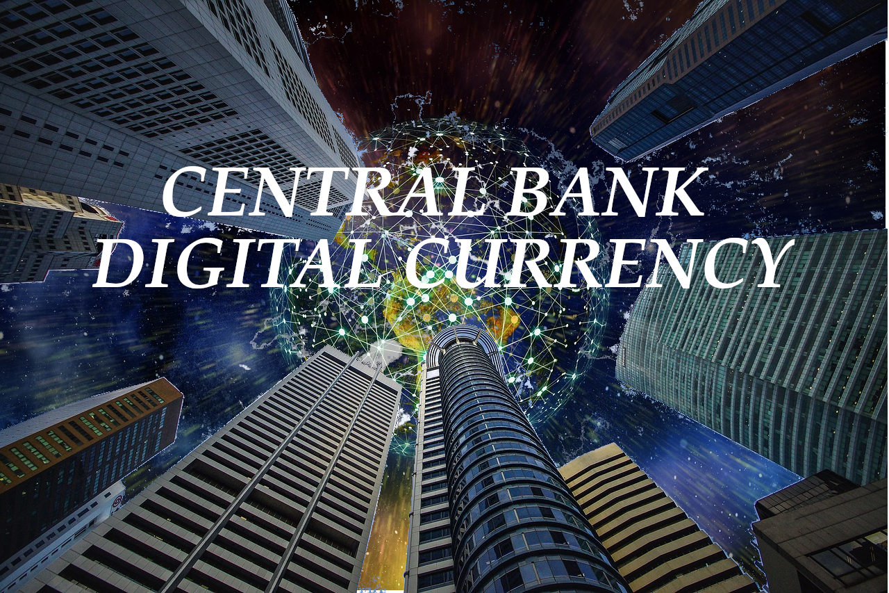 IMF perspective on Central Bank Digital Currency (CBDC)