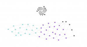 Does Blockchain have a future? The IOTA Foundation Alternative